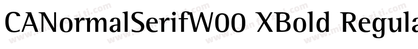 CANormalSerifW00 XBold Regular字体转换